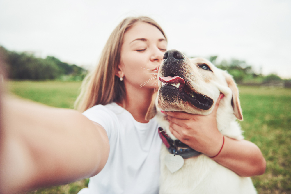 Viaje com seu Pet: 5 lugares incríveis no Brasil