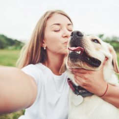 Viaje com seu Pet: 5 lugares incríveis no Brasil