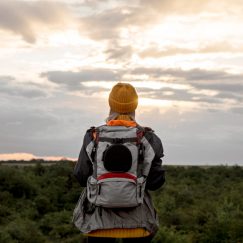 Benefícios de viajar sozinha: Liberdade e Autoconhecimento